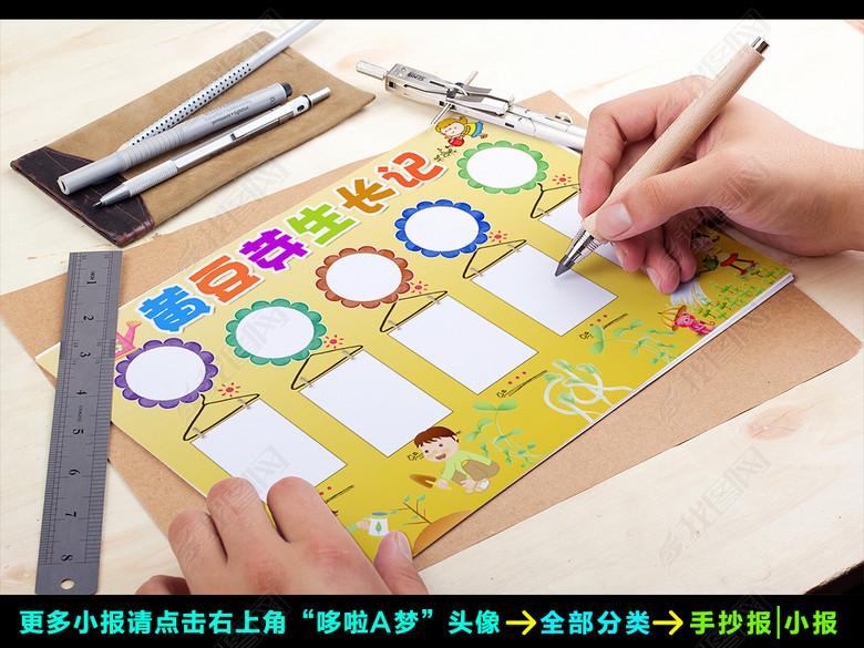 黄豆芽生长过程日记小报植物观察日记手抄报图