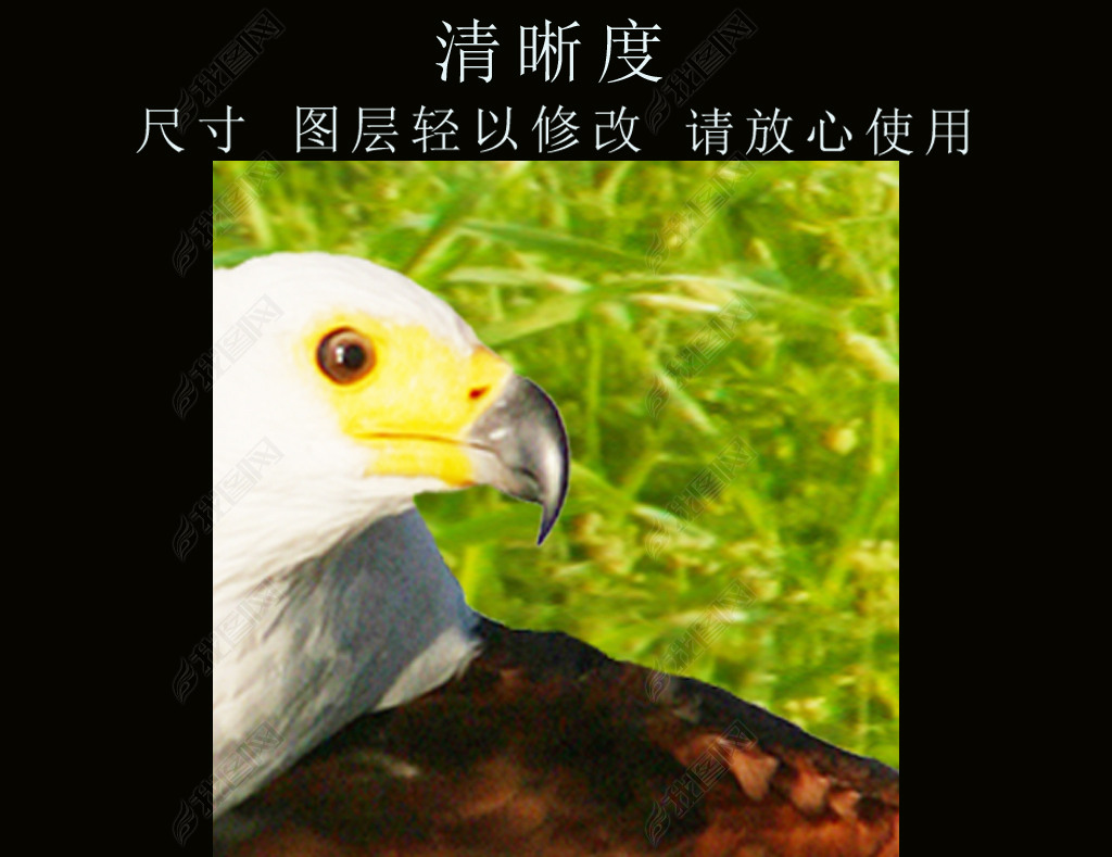 ԰羰ǽ