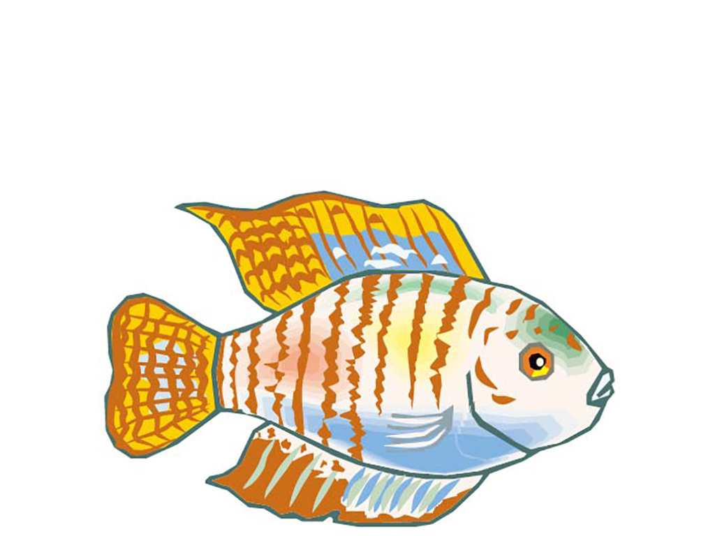 一条鱼嘴上红十字 眼标一负号 猜成语(3)