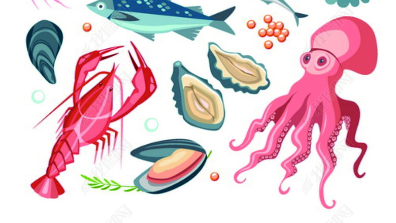 海鲜贝壳生蚝螃蟹海星海马海螺珊瑚矢量图图片