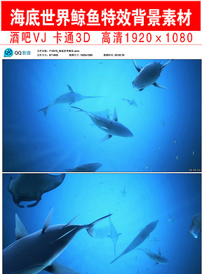 鲸鱼视频大全海底世界 288x390a0a0