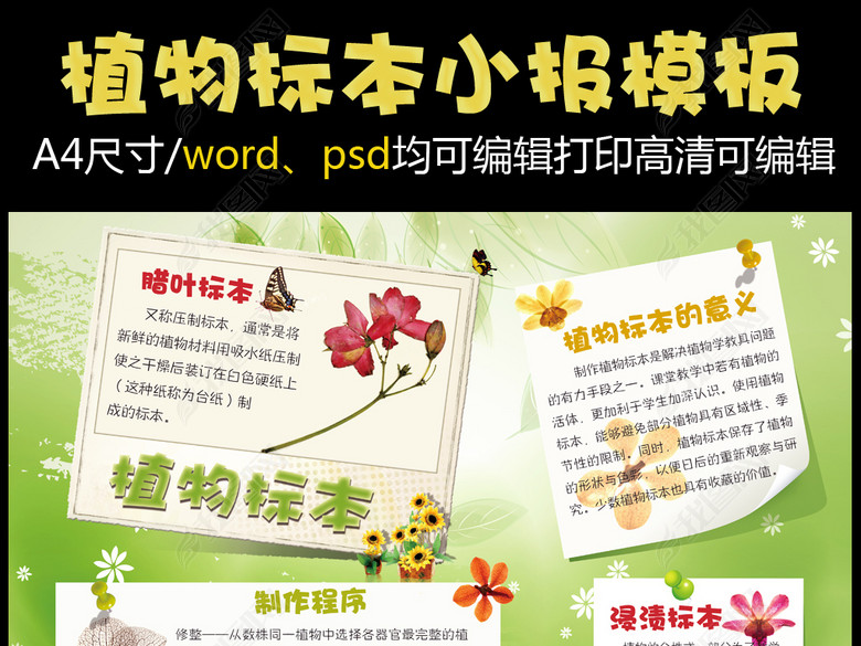 绿色植物标本手抄报模板图片下载psd素材-爱护