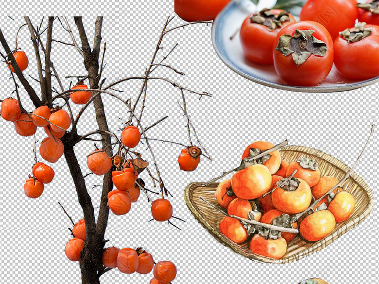 卡通新鲜特产柿子免扣PNG设计素材集合图片