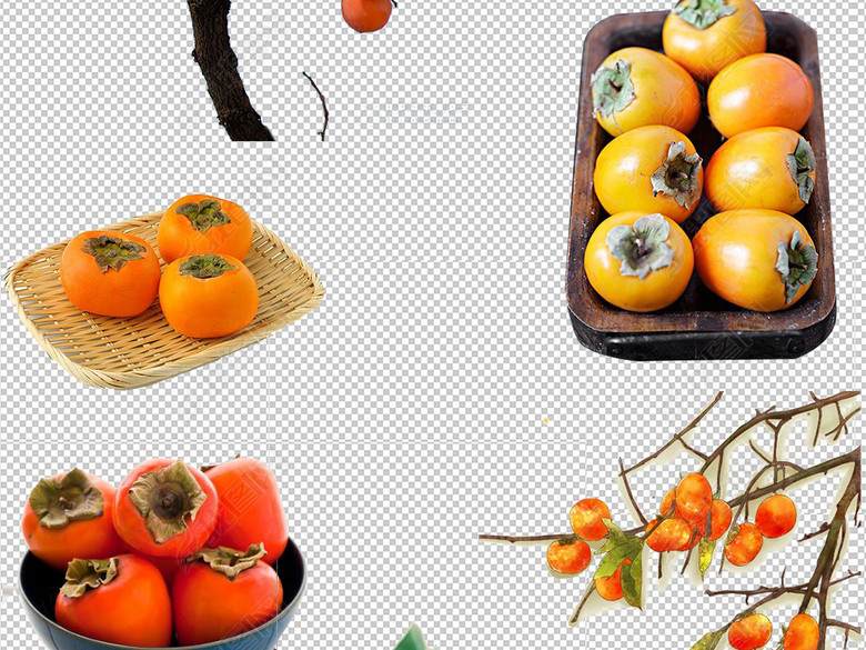 卡通新鲜特产柿子免扣PNG设计素材集合图片