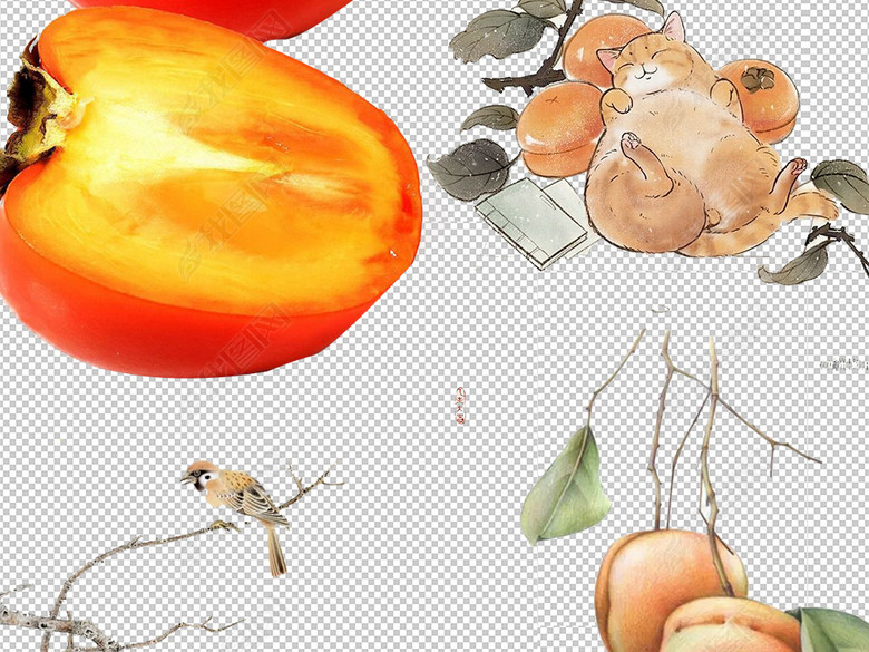 卡通新鲜特产柿子免扣PNG设计素材集合图片