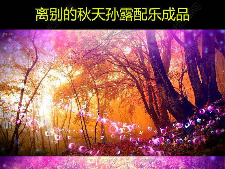 离别的秋天孙露配乐成品(图片编号:17124500