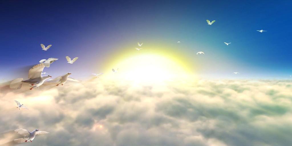 中国梦和平鸽模板素材_高清MP4格式下载(视频