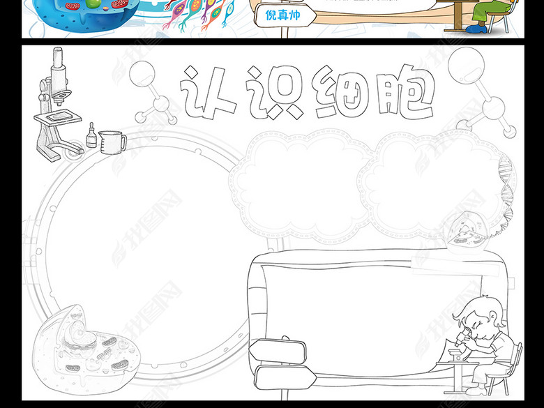 认识细胞小报化学生物手抄报科学电子小报图片