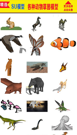 ģ͸NСģ