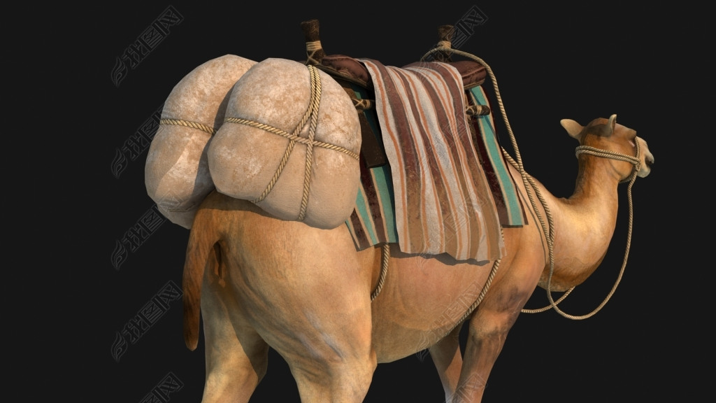 影视级骆驼带动画骆驼全套动画