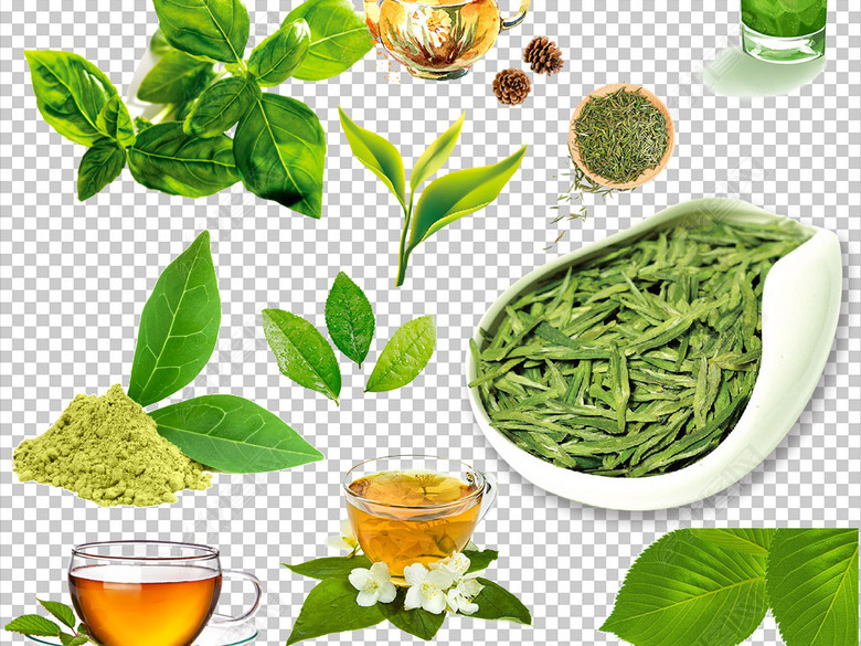 54款绿色茶叶绿茶树叶png免抠透明素材图片下