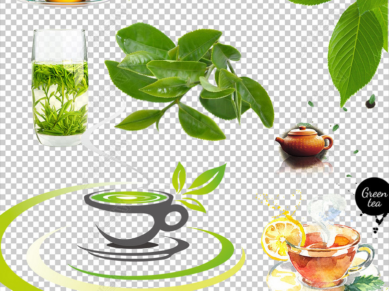54款绿色茶叶绿茶树叶png免抠透明素材图片下