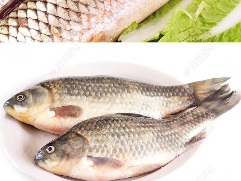 鲫鱼罗非鱼茂名特产水产养殖鱼塘大头鱼草鱼图