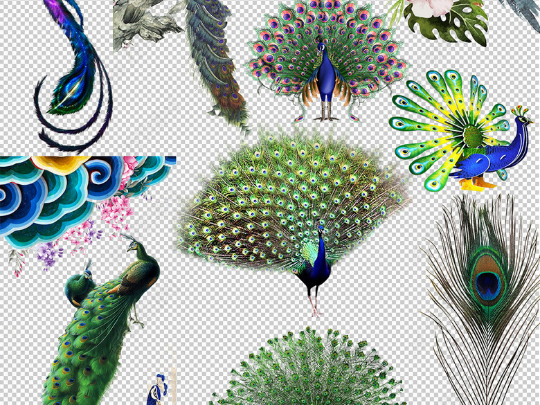 孔雀开屏孔雀彩色孔雀透明免抠png图片下载p