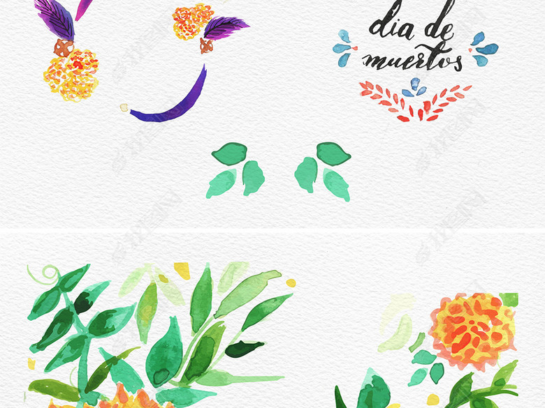 炫彩水彩花鸟卡片背景墨西哥风情设计元素图片