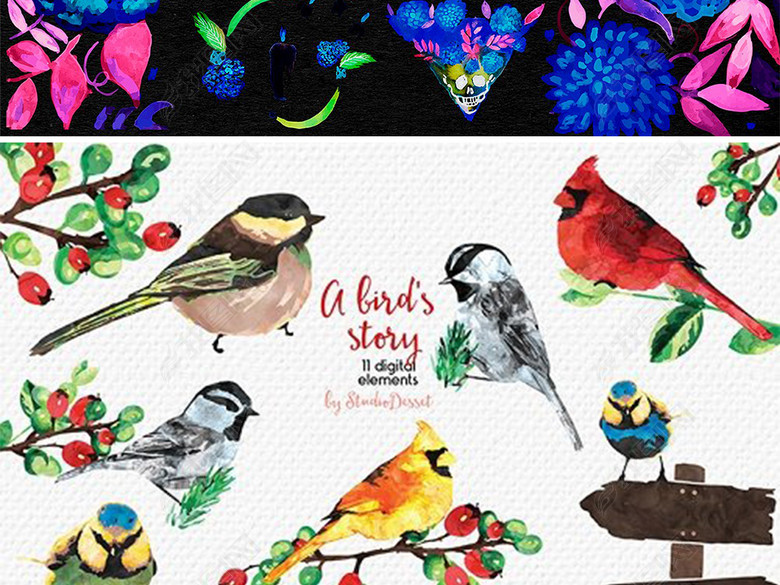 炫彩水彩花鸟卡片背景墨西哥风情设计元素图片