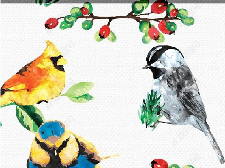 炫彩水彩花鸟卡片背景墨西哥风情设计元素图片