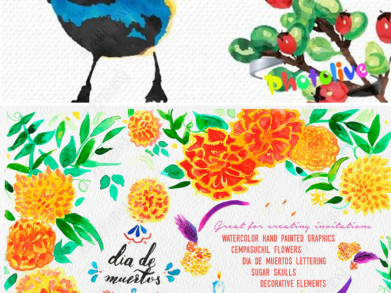 炫彩水彩花鸟卡片背景墨西哥风情设计元素图片