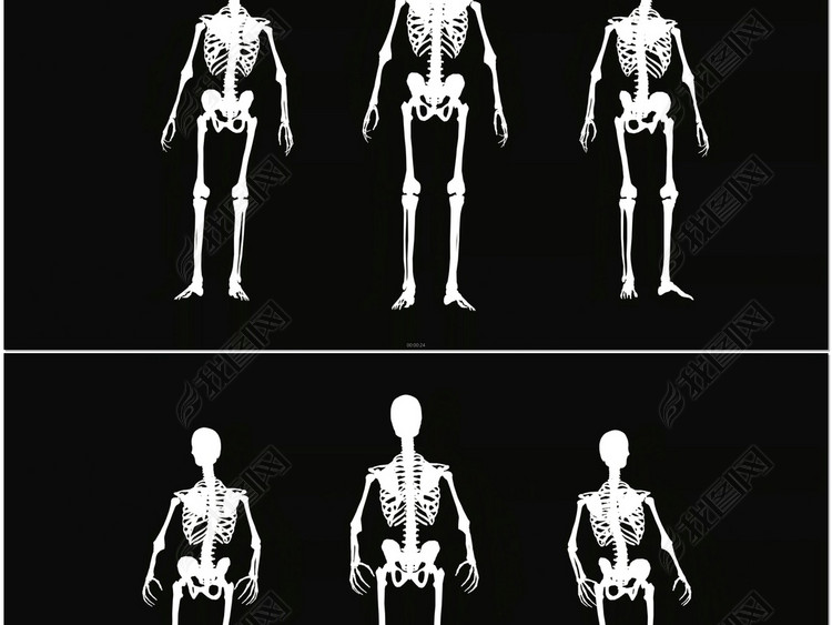 三个骷髅跳舞模板素材_高清MP4格式下载(视频