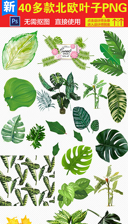 绿叶子装饰图片大全 264x460a0a0