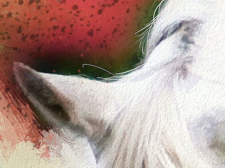 高清唯美手绘水彩白马无框画装饰画(图片编号