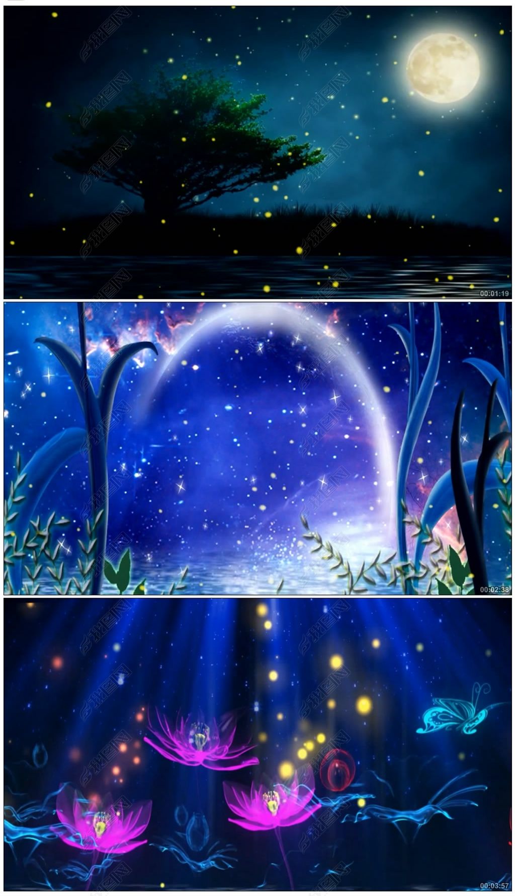 夏夜之美虫儿飞伴奏少儿节目表演