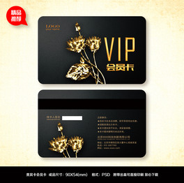 TvipFe