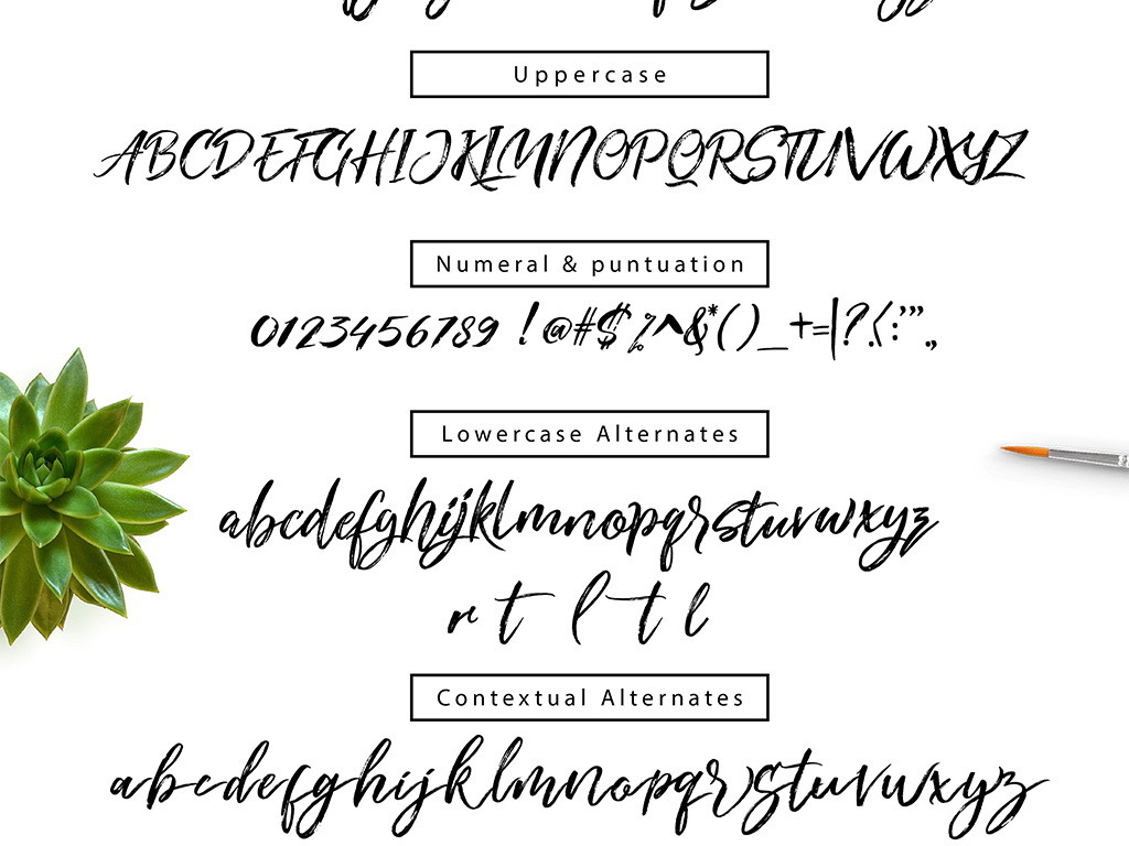 怎么翻译衣服上的英文字 17266782-1dbc2d891ed3b50aa72b1fb3b7d79e7f-4.jpg