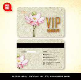ʽˮīvipFe