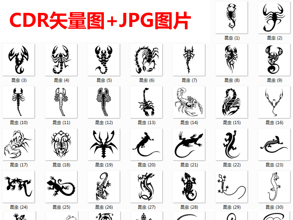 蜘蛛壁虎猜成语_壁虎卡通图片(2)