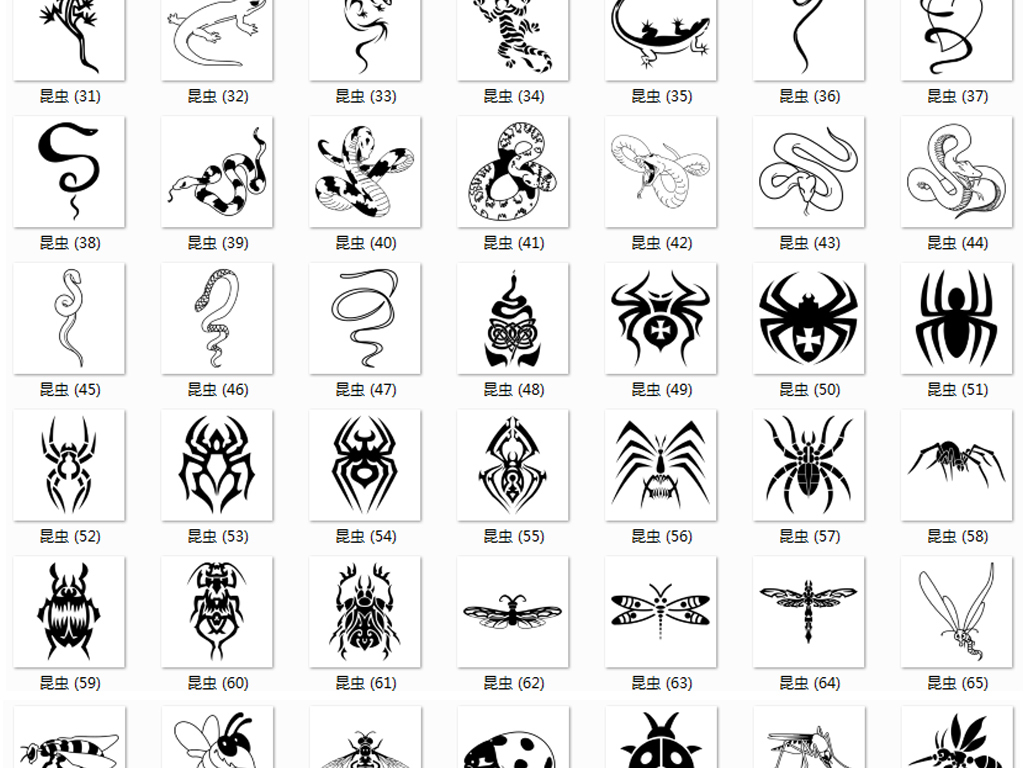 蜘蛛壁虎猜成语_壁虎卡通图片(2)