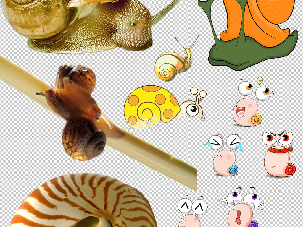 蜗牛看西游全集2016 17351380-c4092aa8af0580f785e576d79f2f0770-7.jpg