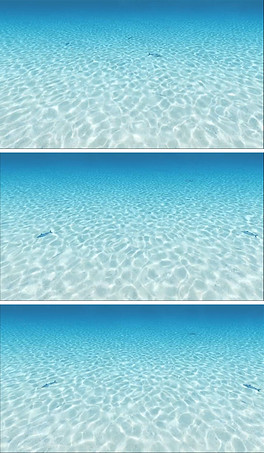 264x453a0a0