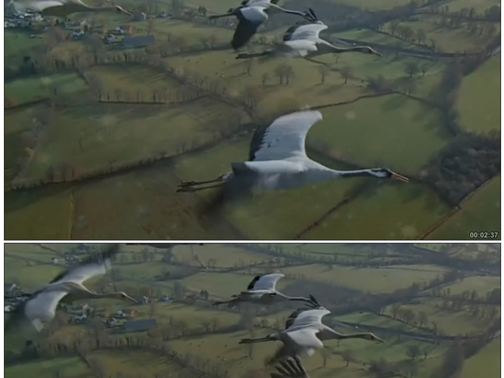 鸿雁简谱呼斯楞_鸿雁 呼斯楞演唱 谱友园地 中国曲谱网(3)