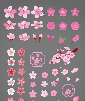 花纸简谱_花纸伞