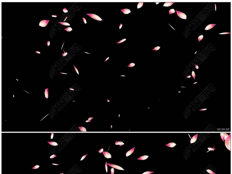 粉红花瓣雨飘落通道视频素材