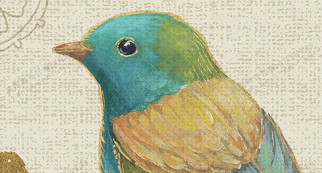 小鸟画什么颜色最好 17418868-cc968934a33cb30e78a0c4d43e9c64ab-12.jpg