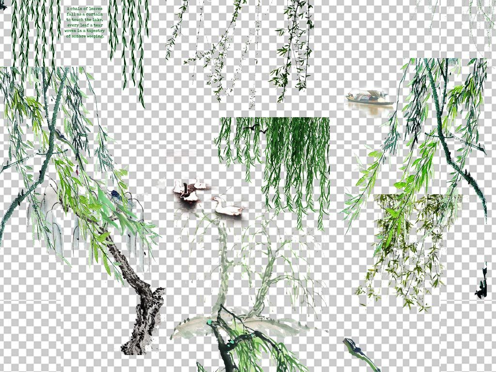 春天景色清新柳叶柳树图片素材图片