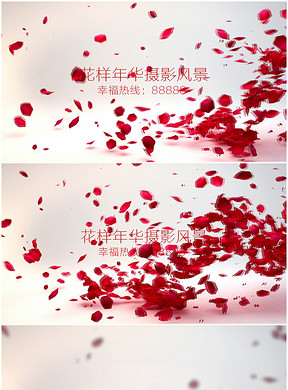 婚纱片头_新闻联播片头(3)