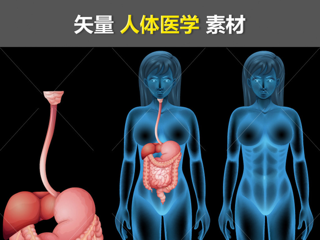 17467972-22a90fc326caa45b6bcd8ab41e2bc734-0.jpg