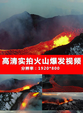 288x390a0a0