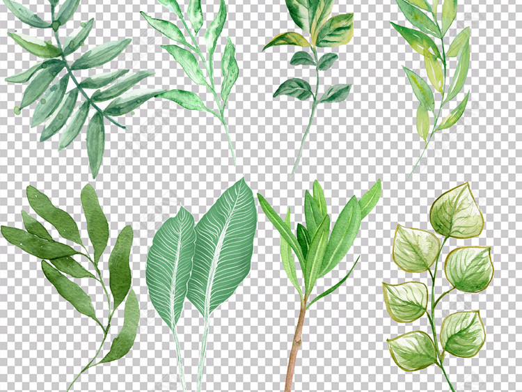 绿叶科技的产品介绍 jpg