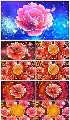 227x390a0a0