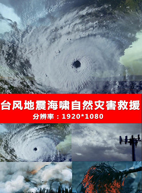 288x390a0a0