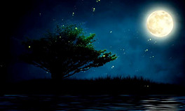 264x158a0a0