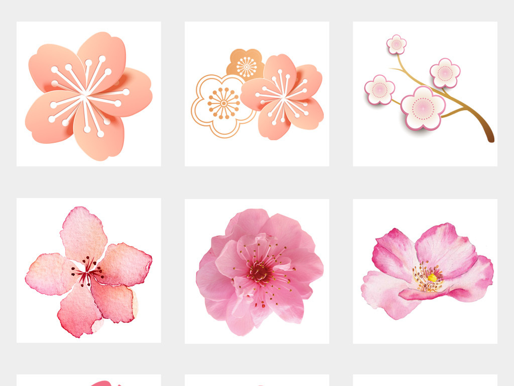 50款春天浪漫粉红色桃花梅花樱花花朵图片png素材