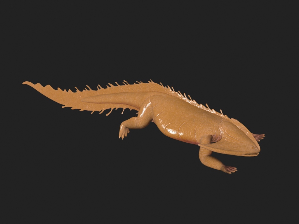 次世代笠头螈原始两栖生物带全套动画带FBX格