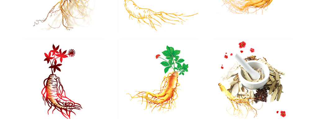 卡通实物人参中草药海报素材
