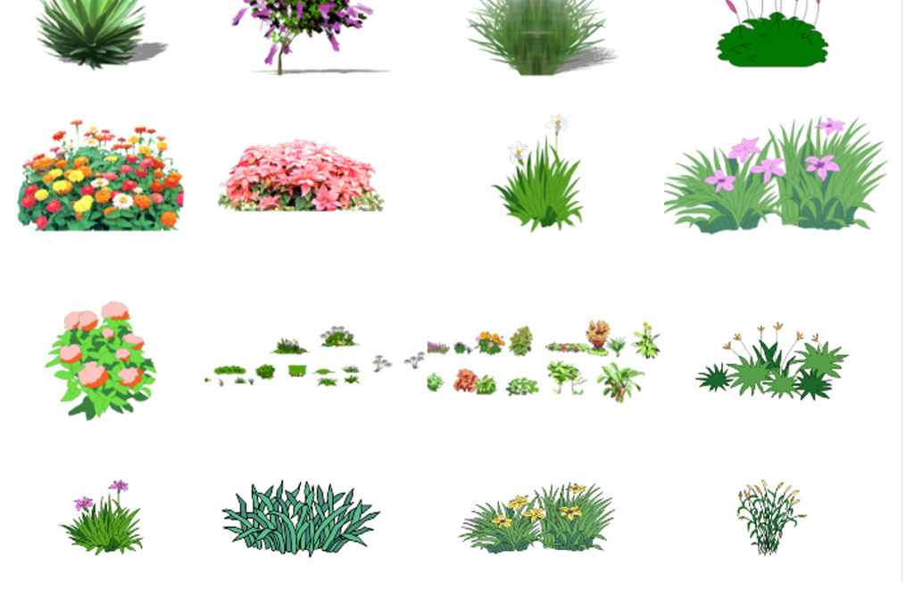 常见的花草树木图片及名称 17608819-12b419cda80c37dd32a4a3bed7f3cfa0-5.jpg