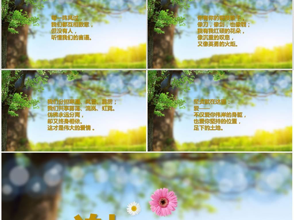 五四青年诗歌朗诵比赛致橡树朗诵ppt